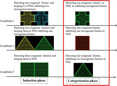 The Neural Mechanisms of Cognitive Control in the Category Induction Task